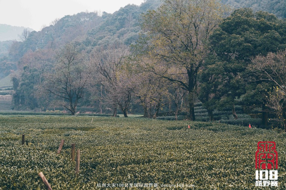 微信图片_20181213194212