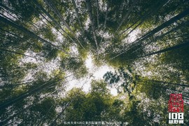 微信图片_20181213194155