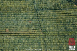 微信图片_20181213194219