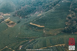 微信图片_20181213194225