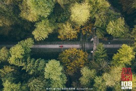 微信图片_20181213194243