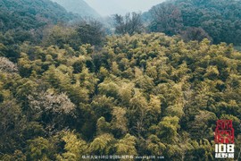 微信图片_20181213194300