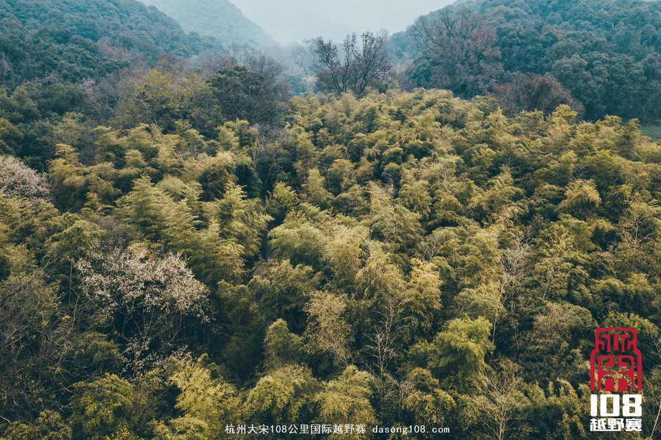 微信图片_20181213194300