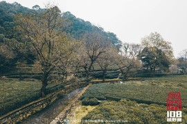 微信图片_20181213194311