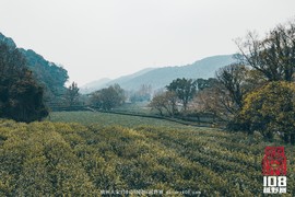 微信图片_20181213194305