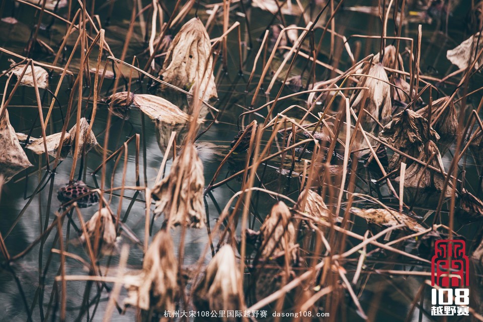 mmexport1544700840659