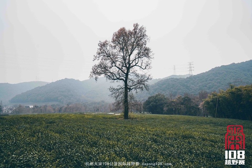 mmexport1544700873891