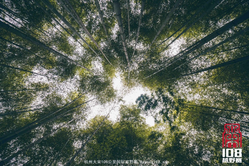 mmexport1544700884439