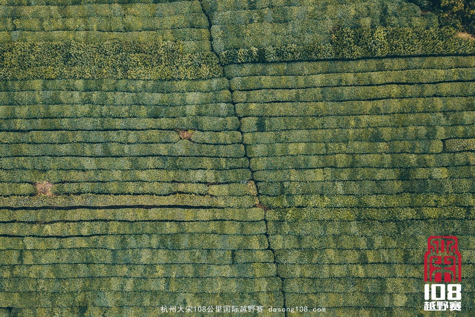 mmexport1544700896331