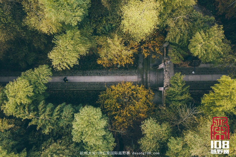 mmexport1544700963737