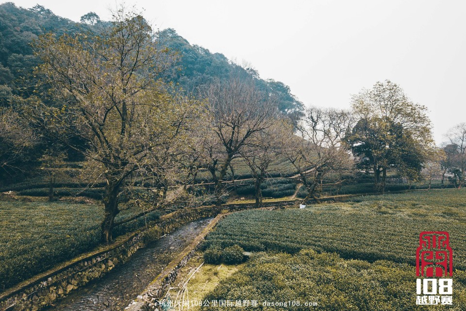 mmexport1544700982950