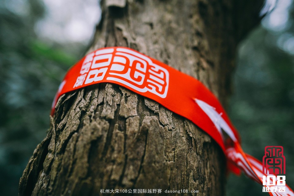 mmexport1544852027681