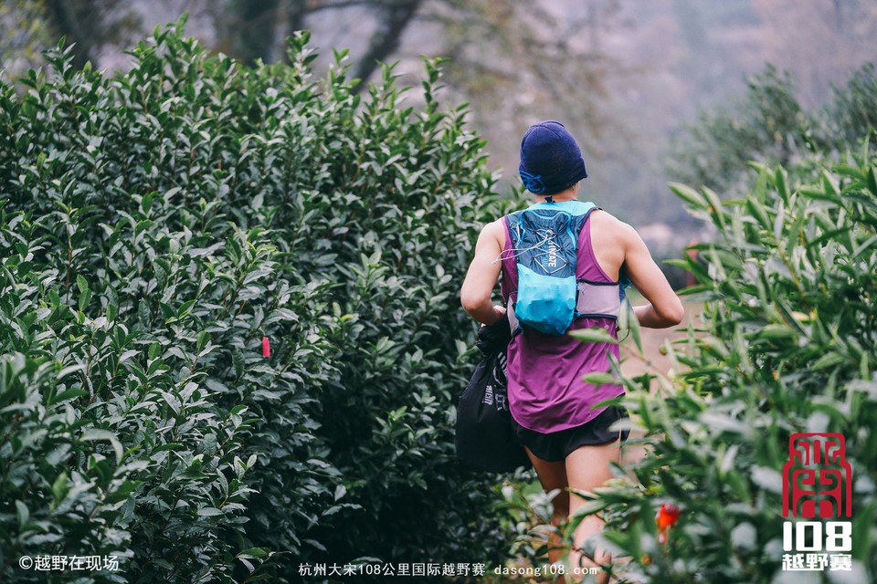 mmexport1544855421195