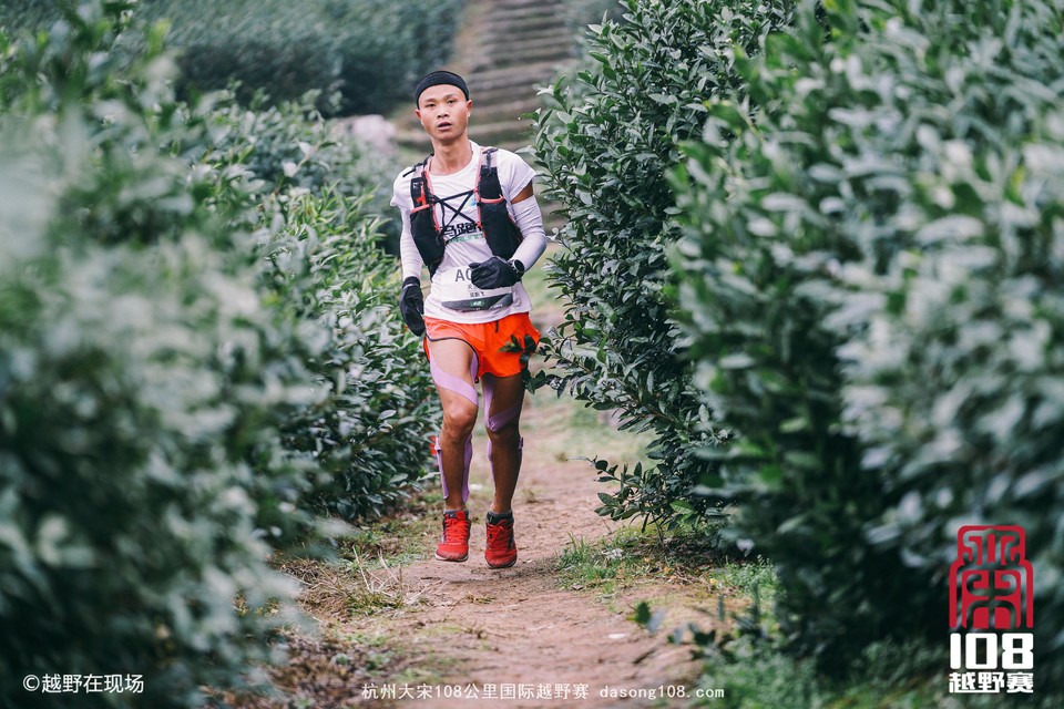 mmexport1544855513741