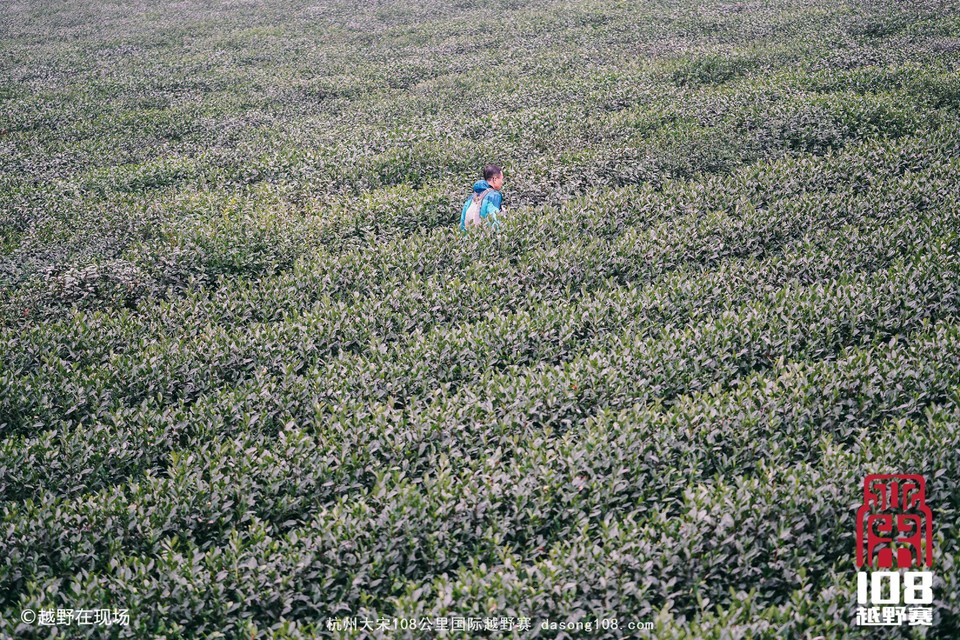 mmexport1544855617603