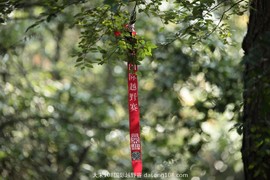 mmexport1509178497021