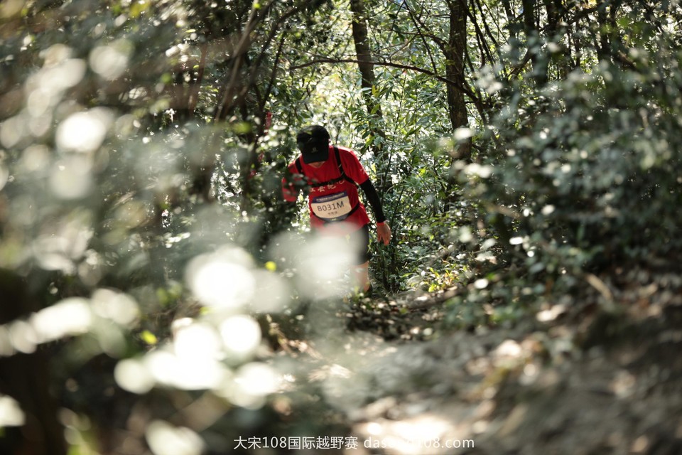 mmexport1509178562385