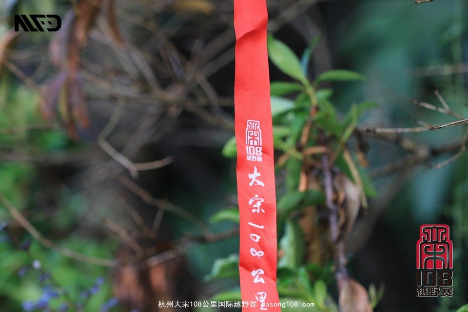 mmexport73aaaf0941984e9e4c17e446fd39ffd9