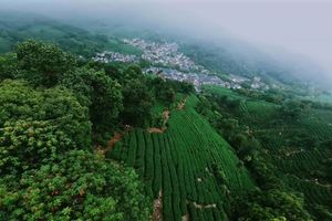 【赛事影像】蓝乐集团·2025杭州大宋108越野赛