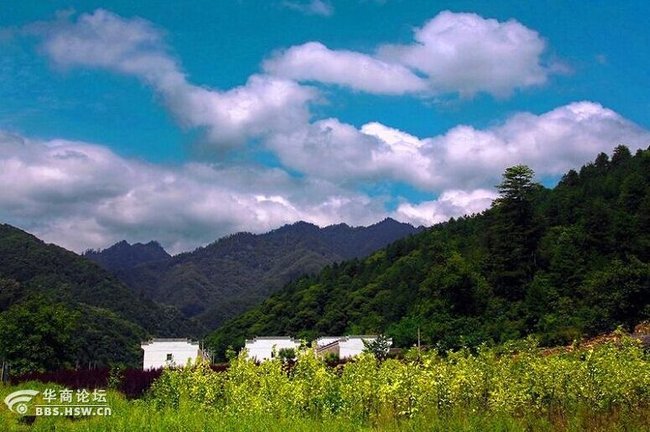 猎鹰户外306宁陕朝阳沟探秘土匪山寨看野生金丝猴一日活动