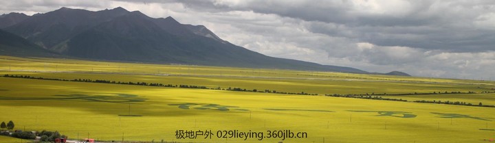 QQ图片20160822180149.png