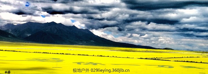 IMG_20160718_155528.jpg