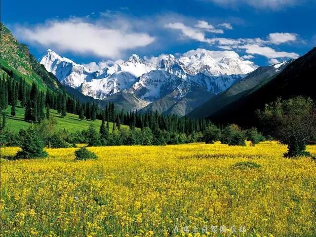 640.webp (15).jpg
