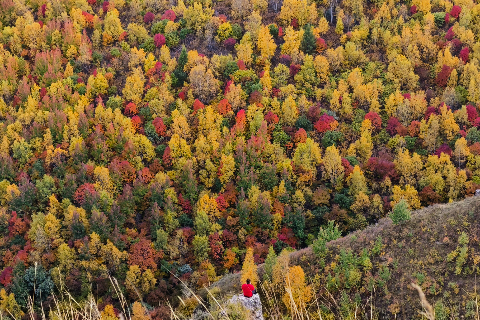 【徒步五彩林场】10.14或15（周六/日）绝美秋色山林 尖山安全沟梁赏秋摄影游