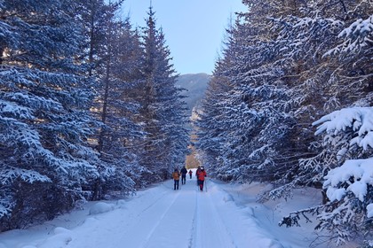 【这儿像北疆，很“禾木”】12.20-21（周六日）神池步道管涔山腹地林海踏雪徒步2日游