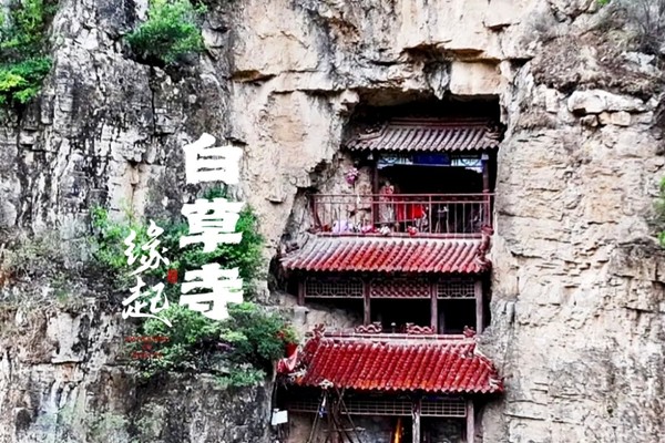 【缘起•白草寺】3.8（周六）徒步寻芳鹤峪口悬空寺一日游