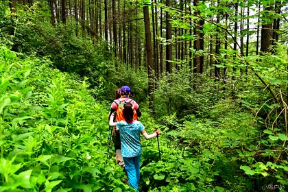 【森系徒步•芦芽沟】6.8(周日)“逃离城市”驼沟负氧O²徒步一日游