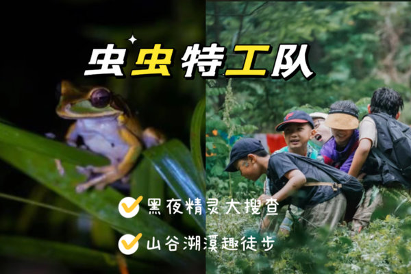 【虫虫特工队】黑夜精灵大搜查&山谷溯溪轻徒步自驾（1日营/1.5日营）