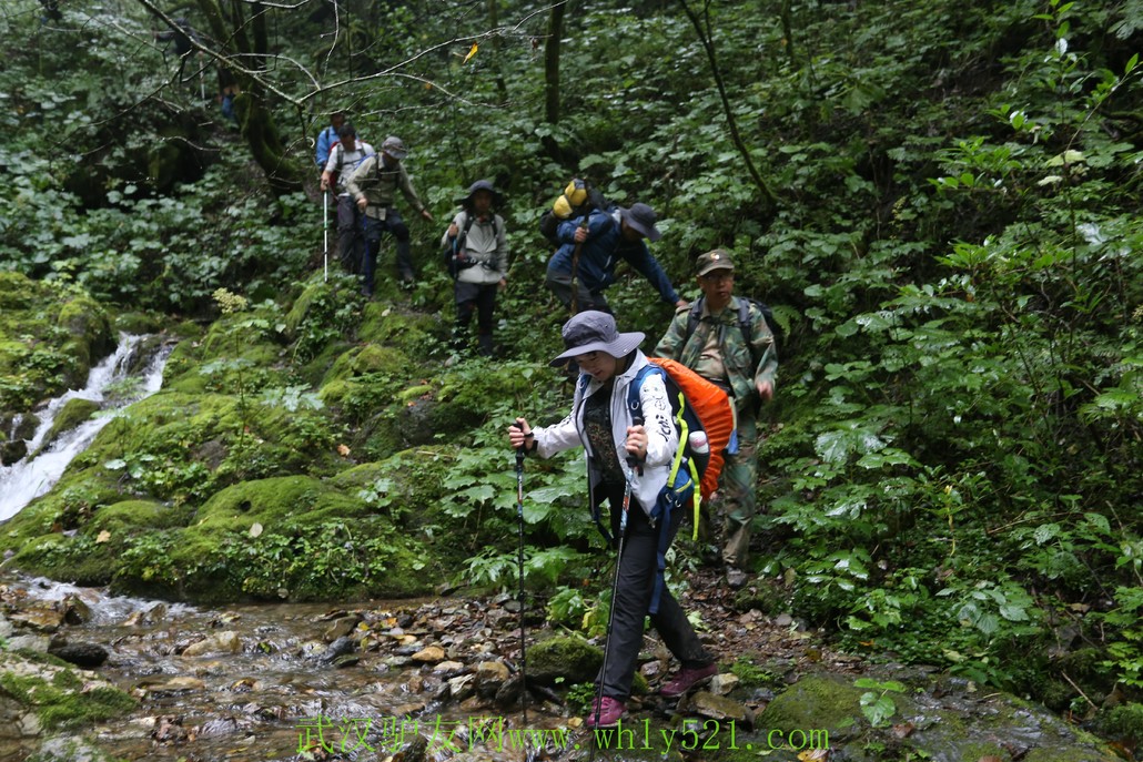 22-24号神农架重装穿越无人区,观赏最美原始森林风景线.