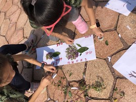 2019_10_05_09_56_IMG_7123