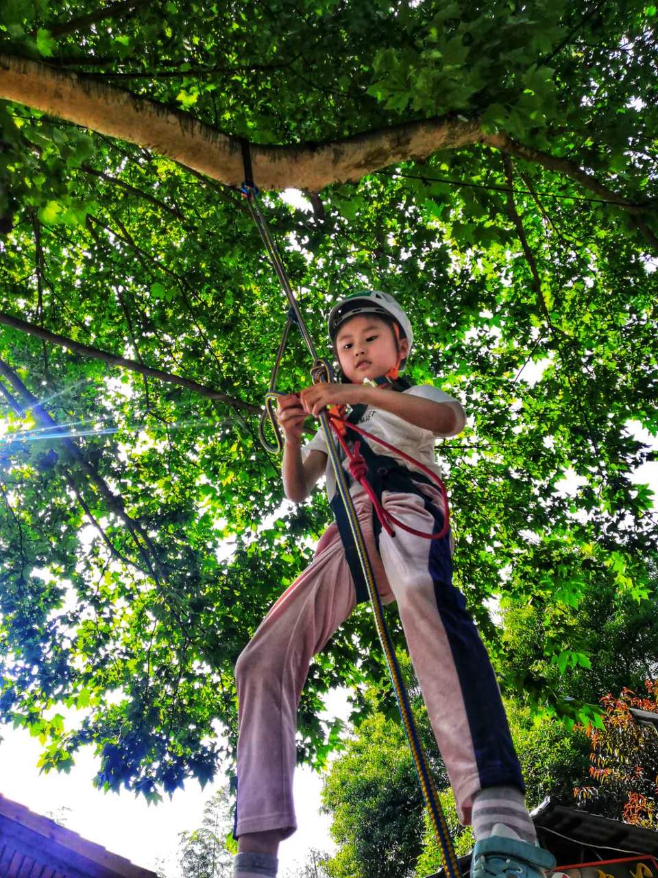 微信图片_20200525115132