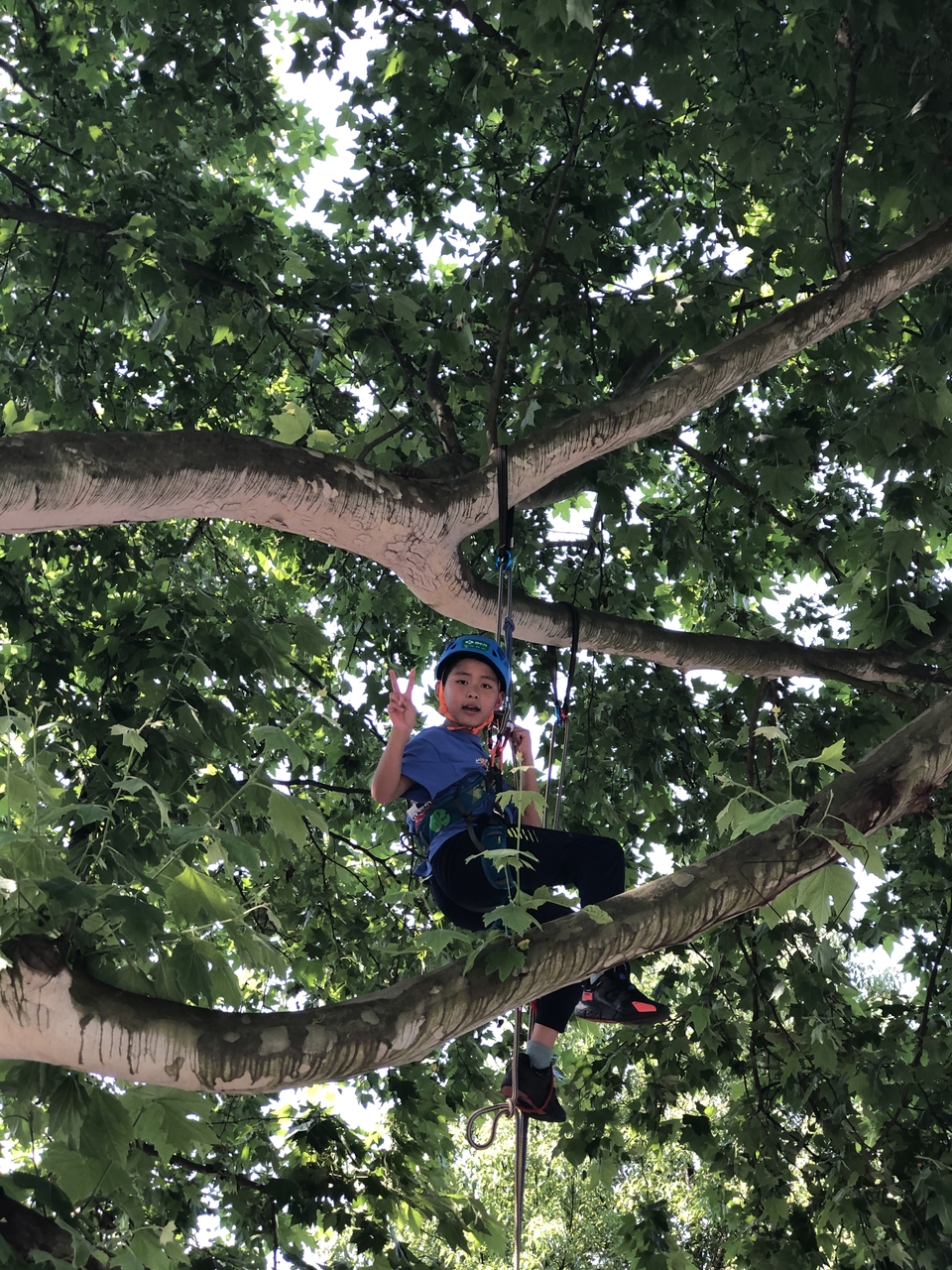 微信图片_20200525115138