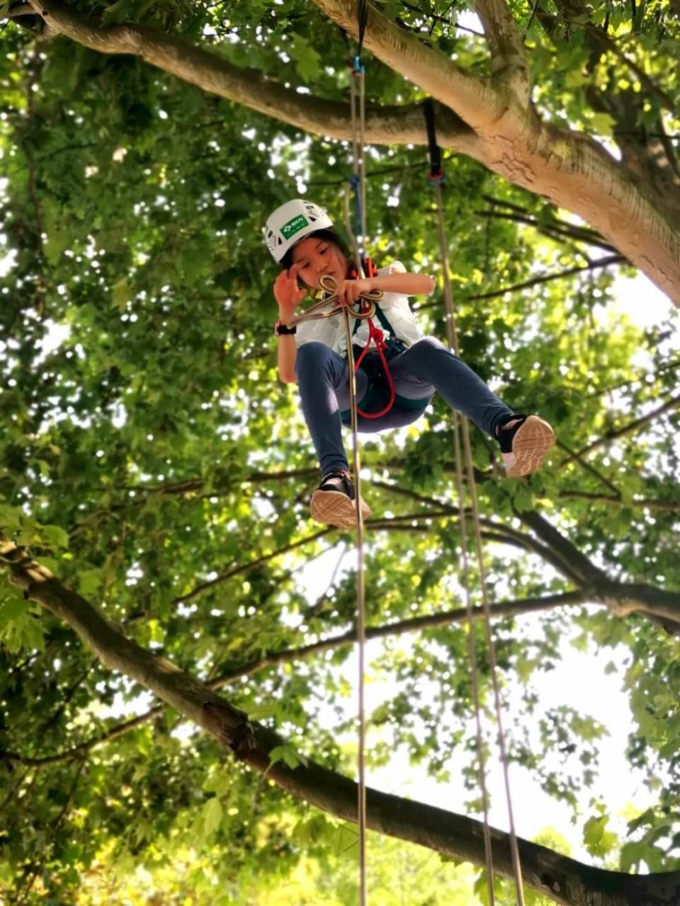 微信图片_20200525115146