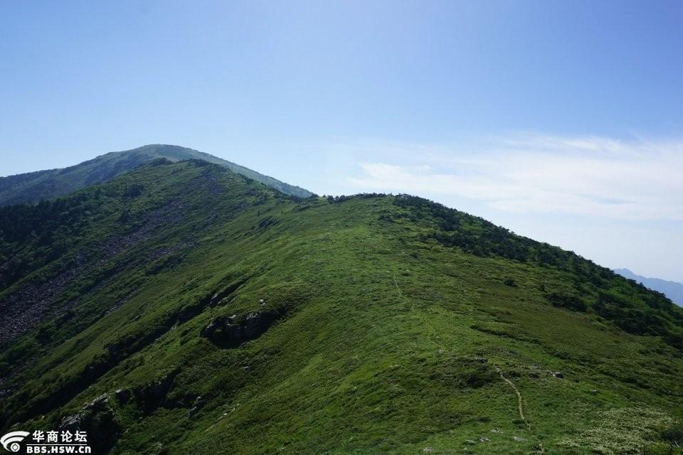 【落云户外】5月19/20/23日 登牛背梁赏高山草甸一日游