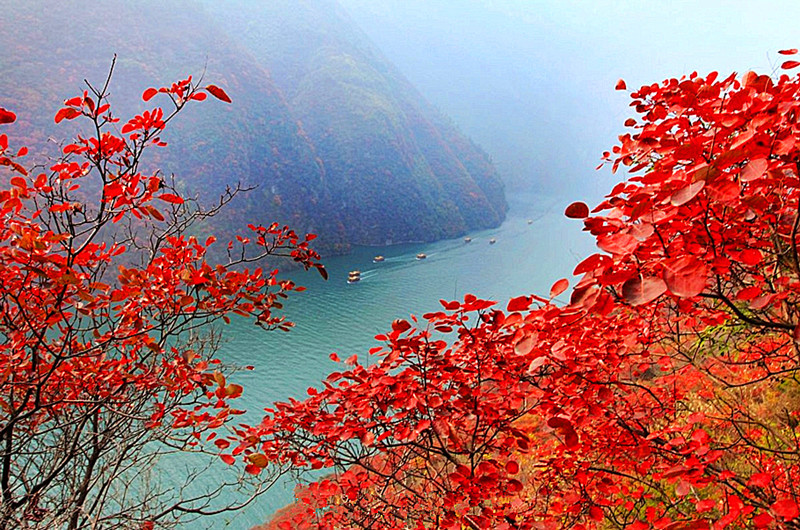 【重返经典】徒步长江三峡,赏巫山最美红叶秋色行摄(壮美三峡,漫山