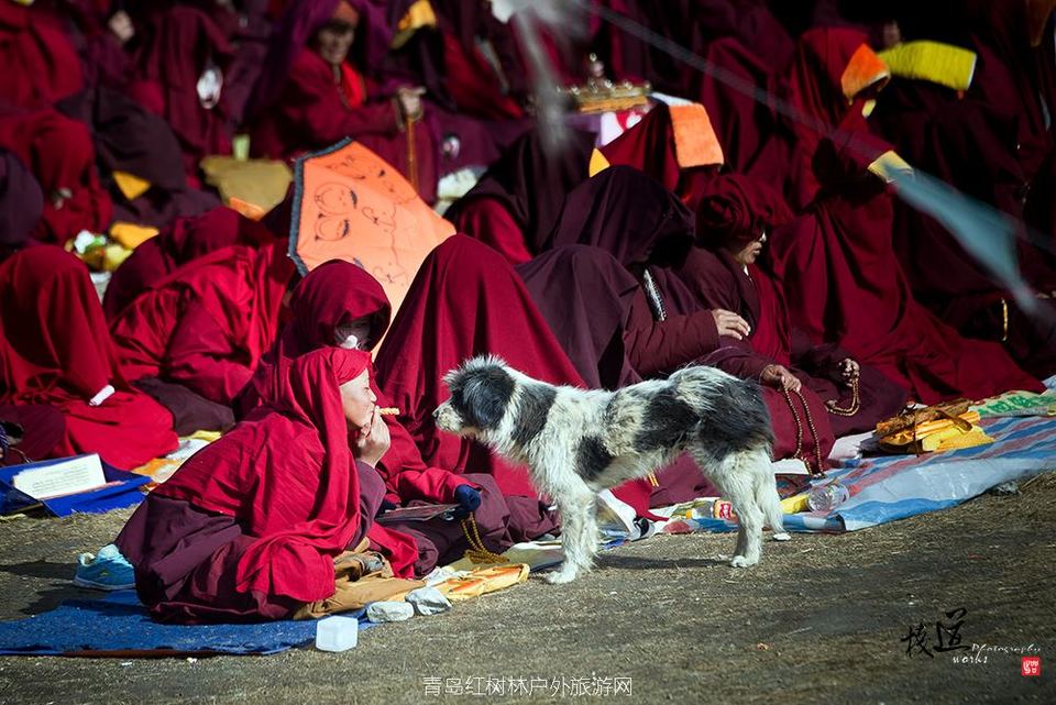 法事大会上的小觉姆