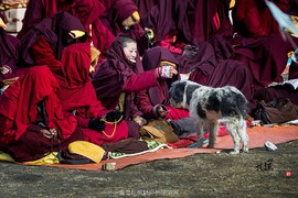 法事大会上的小觉姆