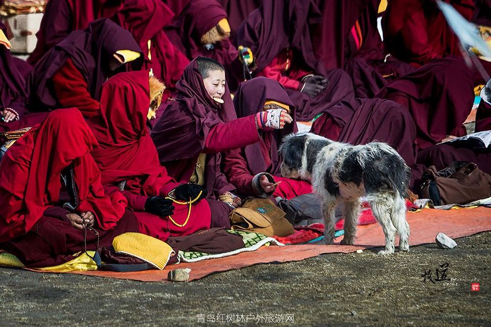 法事大会上的小觉姆