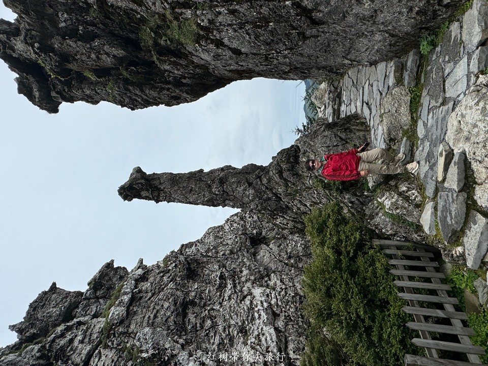 mmexport1717419910866