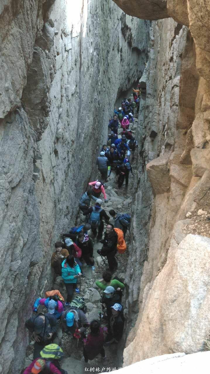 mmexport1489912888602