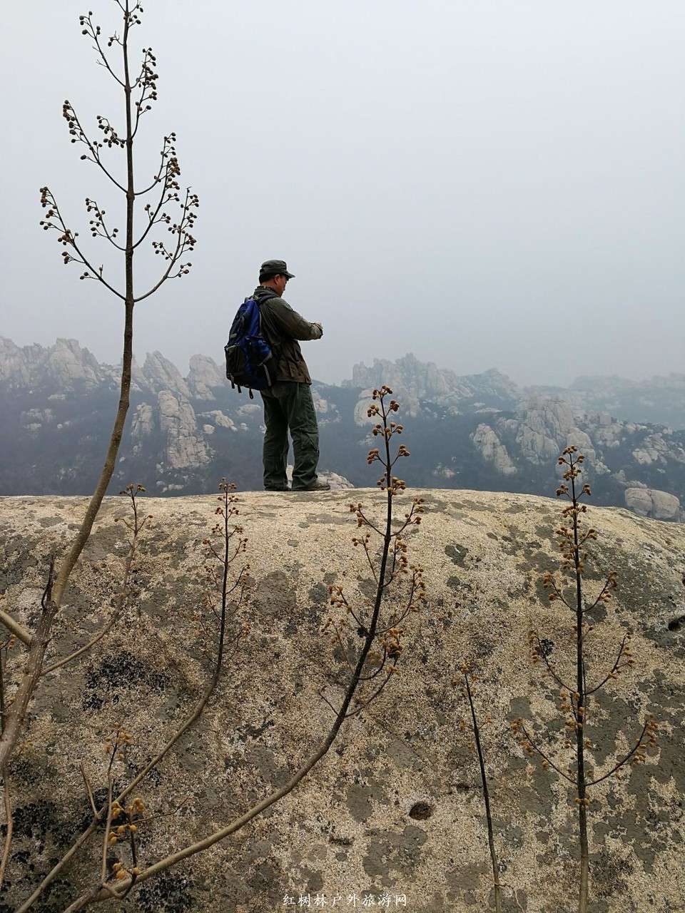 IMG_20170312_123931_1