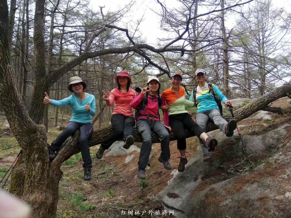 mmexport1492347029752