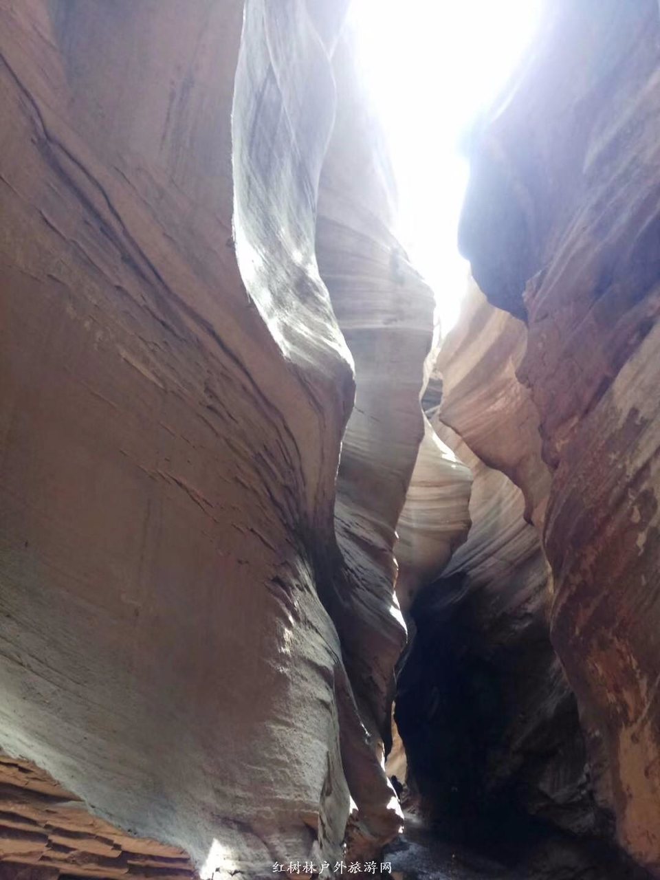 mmexport1522191676382