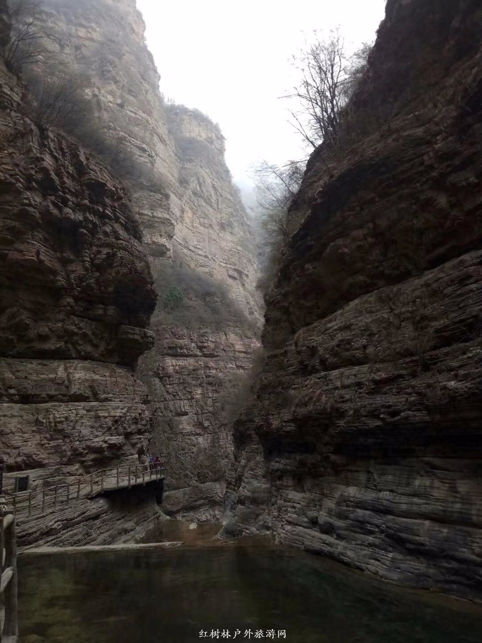 mmexport1522324365939