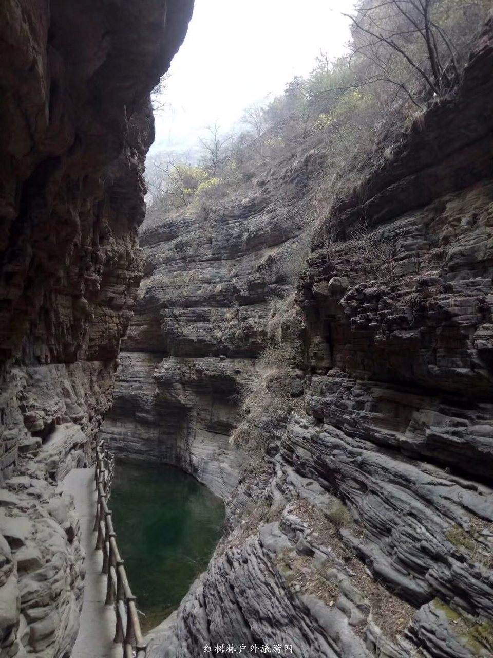 mmexport1522324369698