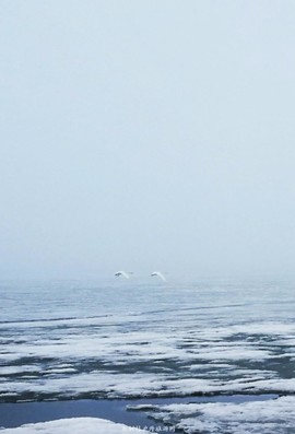 IMG_20180401_160651-01-01